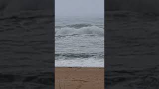 Check out Lakes Entrance beach today australia shorts [upl. by Etneciv]