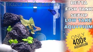 Betta Fish Tank Setup  Fighter Fish Tank Setup [upl. by Drarehs470]