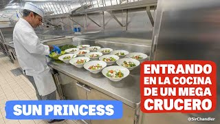 🧑‍🍳 LA COCINA DE UN MEGA CRUCERO 🛳️  EL SUN PRINCESS [upl. by Yehudi259]