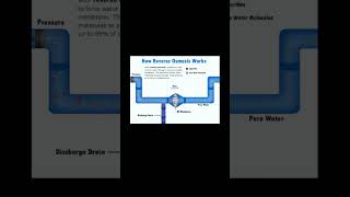 How Reverse Osmosis works osmosis watertreamtentsolutions shorts plumbingservices nbc ipc upc [upl. by Llerehc601]