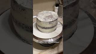 Для заказа обращайтесь в инстаграм lassiecake тортымолодечно тортмолодечноназаказ [upl. by Shere]