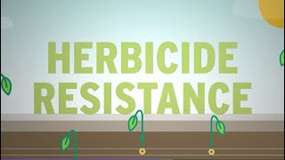 What is Herbicide Resistance [upl. by Pomfret]