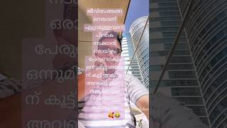 shortfeed motivation malayalam love ytshots reels aburashdan786 [upl. by Gridley]