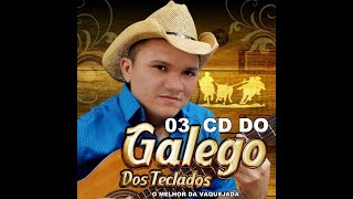 GALEGO DOS TECLADOS O MELHOR DA VAQUEJADA CD VOLUME 03 COMPLETO [upl. by Ariamo53]