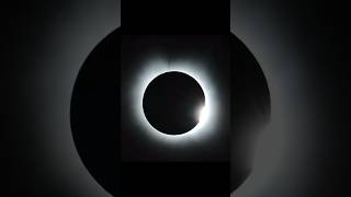 Solar Eclipse reaction 2024 shorts short eclipse reaction beautiful [upl. by Surtemed]