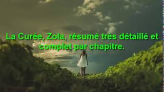 La Curée Émile Zola résumé très détaillé et complet par chapitre [upl. by Lekzehcey745]