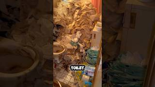 Satisfying Toilet Transformation shorts satisfying transformation [upl. by Corrinne]