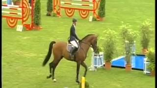 CANSTAKKO Hannover jumping stallion by Canturo x Stakkato wwwequineevolutioncom [upl. by Hands]