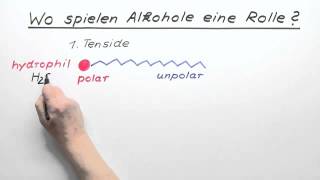 Wo spielen Alkohole eine Rolle  Chemie  Organische Chemie [upl. by Yracaz]