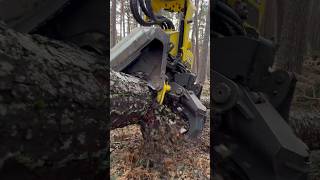 John deere harvester 1270g in the forest harvester johndeere wood tree farming viral trending [upl. by Karney]