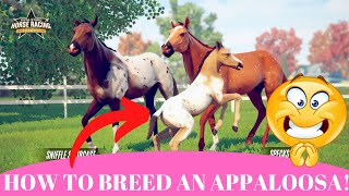 How to breed an Appaloosa Rival Star Horse Racing [upl. by Reseda692]