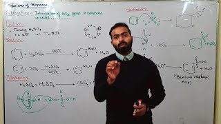 Sulphonation  Electrophilic Substitution Reactions of Benzene  ch9  12th class chemistry [upl. by Greenes]