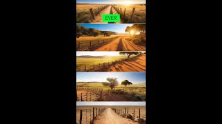 The Fascinating Story of Australias RabbitProof Fence [upl. by Anotyal]