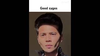 Zygos are good looksmax darktriad [upl. by Baudin663]