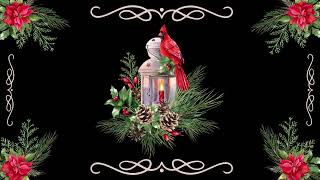 Red Cardinal Screensaver  Poinsettia Screensaver  Christmas Screensaver  1HR 🎄 [upl. by Akinuahs]