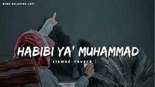 Habibi Ya Muhammad✨ slowed reverb Beautiful Nasheed Naat l Lofi Version l Mind Relaxing Naat [upl. by Aciamaj]