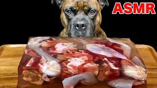 MUKBANG ASMR Dog eating Giant raw meat jelly！Chicken sheep beef 【American Bully】 [upl. by Karen]