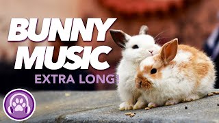 EXTRA LONG Relaxing Music for Rabbits  Soothing Bunny Beats [upl. by Adimra870]