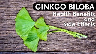 Ginkgo Biloba Review of Benefits amp Side Effects [upl. by Ramar]