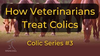 How Veterinarians Treat Colic Horses [upl. by Aynuat398]