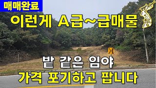 매매완료이런게 A급 급매물밭 같은 임야 8490평 가격 포기하고 경매보다 싸게 팝니다땅지통 [upl. by Brenna324]