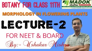 Botany Class11Morphology Lec2For NEET By Ushakar mishra [upl. by Maribelle]