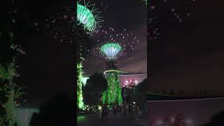 Gardens by the bay Singapore [upl. by Theran]