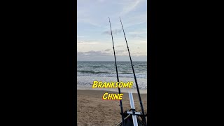 Branksome Chine [upl. by Ahsinev]