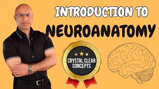 Intro to Neuroanatomy  Neurophysiology  Neuroscience  Central Nervous System [upl. by Ynad556]