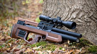 Top 10 Most Popular Air Rifles 2021  Madman Review [upl. by Haleigh]