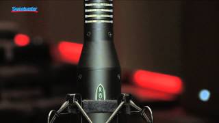 Royer SF2 Ribbon Microphone Overview [upl. by Teiv951]