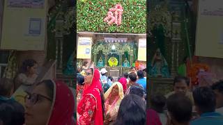 Radhe albeli sarkar radhaastmi vrindavan varsana radhe radheshyam [upl. by Aizek]