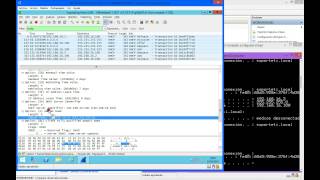 WireShark  Capturando y analizando el tráfico DHCP [upl. by Nesbitt341]