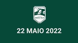 Percurso Mediofondo  Granfondo Médio Tejo 2022 [upl. by Hairas252]