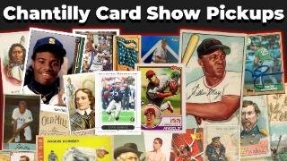 I Bought OVER 500 Cards at the Chantilly Cardshow [upl. by Oicaro579]