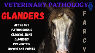 Glanders Equine Farcy  Aetiology  Pathogenesis  Symptoms amp Diagnosis [upl. by Kenta]