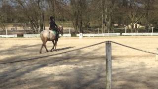 CCE  entrainement dressage avec Hélène VATTIER [upl. by Juditha441]