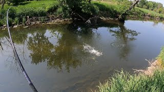 It was a MEGABASS day of river bass fishing [upl. by Ettennal]