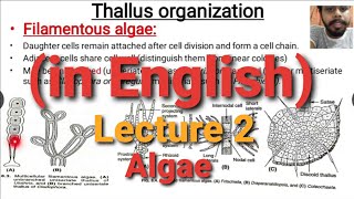 Algae Lecture 2  Thallus Organisation [upl. by Uol]