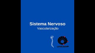 Sistema Nervoso  Aula 07 Vascularização [upl. by Mauldon]