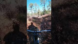 MYLES STANDISH  has good trails  mtb mountainbike mtblife downhill mountainbiking mtbfun [upl. by Fari]