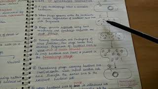 Transduction Genetic recombination in bacteria [upl. by Lledraw744]