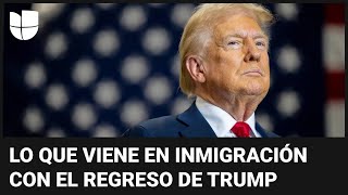 Recomendaciones para indocumentados ante el temor por el regreso de Donald Trump a la presidencia [upl. by Casimir]