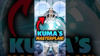 How Kuma Knew where to sent all strawhats One Piece Explained onepiece shorts [upl. by Latsyrcal614]