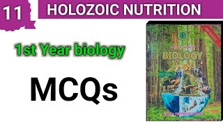 MCQs  holozoic Nutrition  ch 11  class 11 bio [upl. by Neesay506]