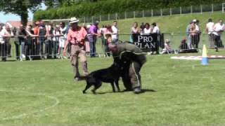 Beauceron Nationale d Elevage 2009 Ring 3 5 partie [upl. by Enyahc]