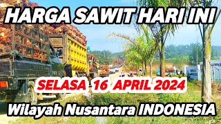 HARGA SAWIT HARI INI TERBARU 16 APRIL 2024 Wilayah Daerah Nusantara INDONESIA [upl. by Erle]