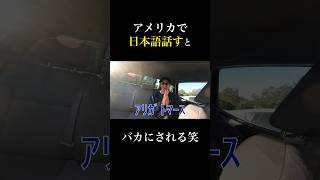 【アジア人差別】たまにえっちな日本語も教えてます 海外大学生 ブログ 海外 留学生の日常 留学生の1日 英会話 留学日記 留学 [upl. by Dublin]