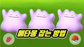 포켓몬고 메타몽 스캐너 메타몽 위치 확인 Ditto Scanner  Pogo Club [upl. by Behnken]