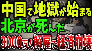 中国崩壊⁉ 飲食店110万件閉店！若者失業3000万人の深刻な現実！若者の失業率188！中国の将来はどうなる⁉【ゆっくり解説】 [upl. by Bywaters787]